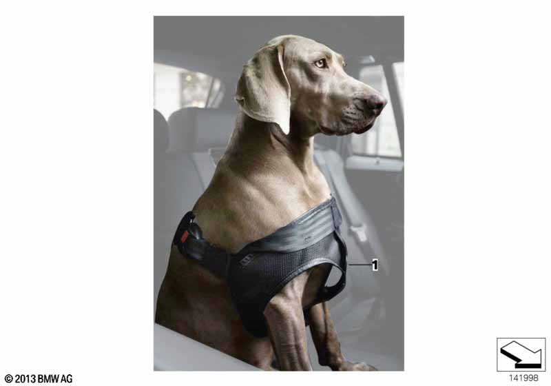 Безопасная шлейка для собак