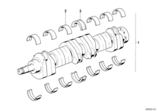 Коленчатый вал с вкладышами подшипников
