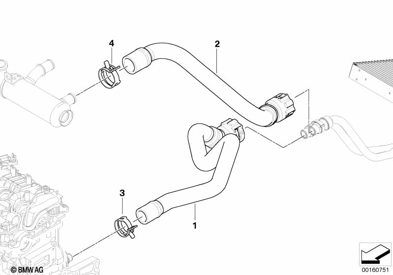 Водяные шланги