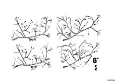 Жгут проводов