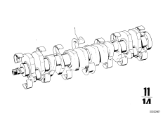 Kurbelwelle mit Lagerschalen