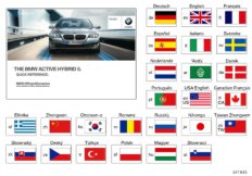 Краткое руководство F10 Hybrid