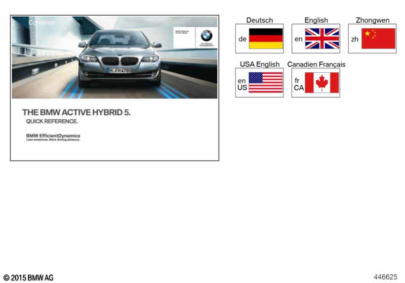 Краткое руководство F10 Hybrid