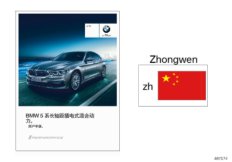 Руководство пользователя G38 PHEV