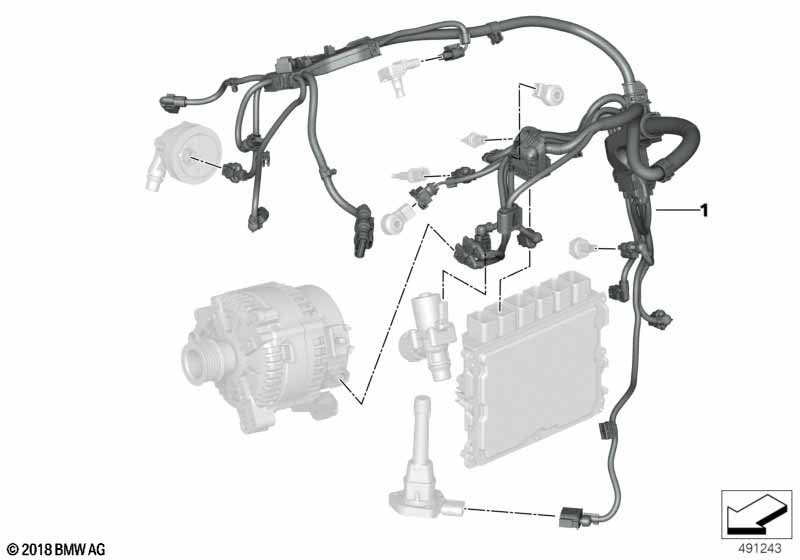 Жгут проводов двигатель/модуль двигателя