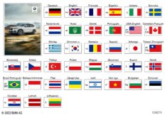 Руководство пользователя G01 PHEV