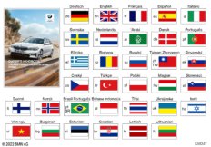 Руководство пользователя G21 PHEV