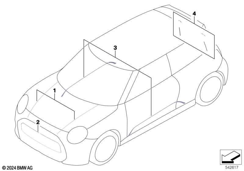 Пленочная наклейка Favoured