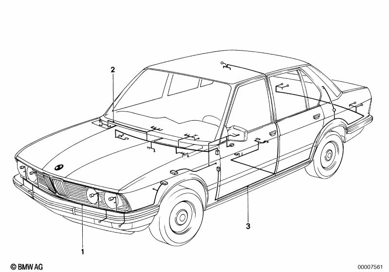 Основной жгут проводов